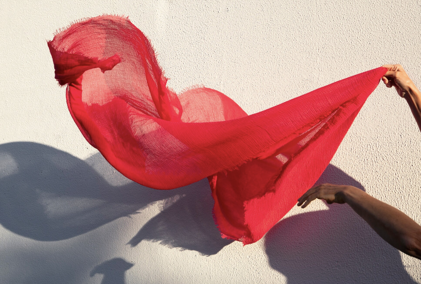 creativo textil.png
